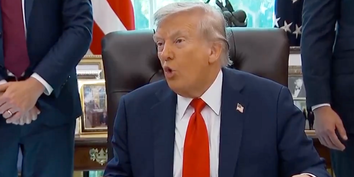 NextImg:Donald Trump BANS burning the US flag in crackdown on ‘people destroying our nation’