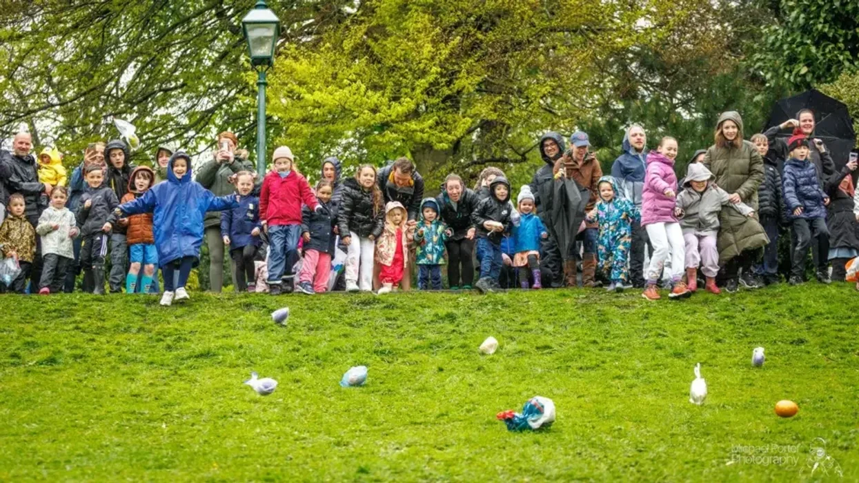 Preston Council's egg-rolling event