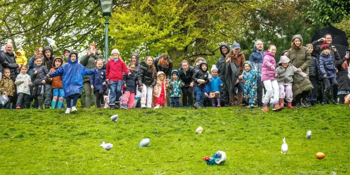 Easter egg rolling called for ban by Peta urging to use potatoes instead Easter egg rolling called for ban by Peta urging to use potatoes instead