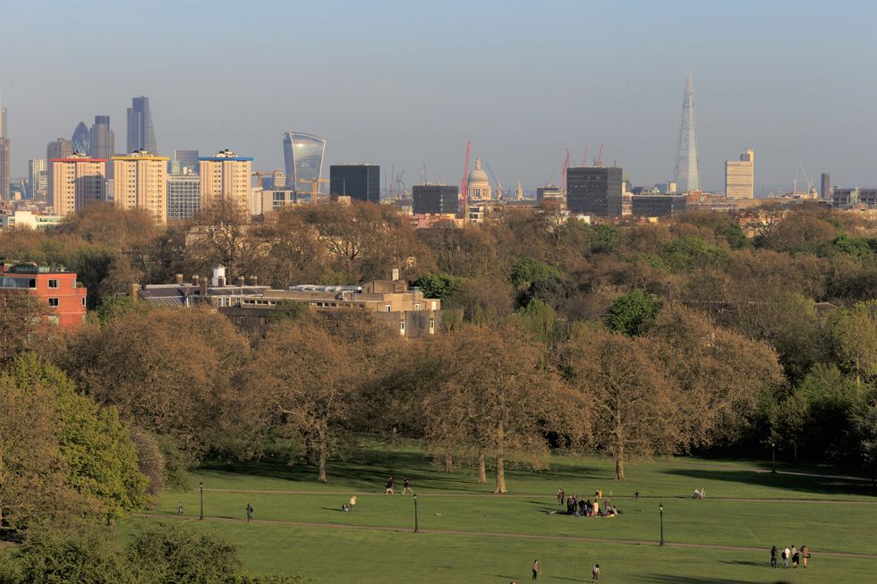 Primrose Hill