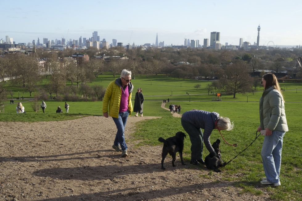 Primrose Hill