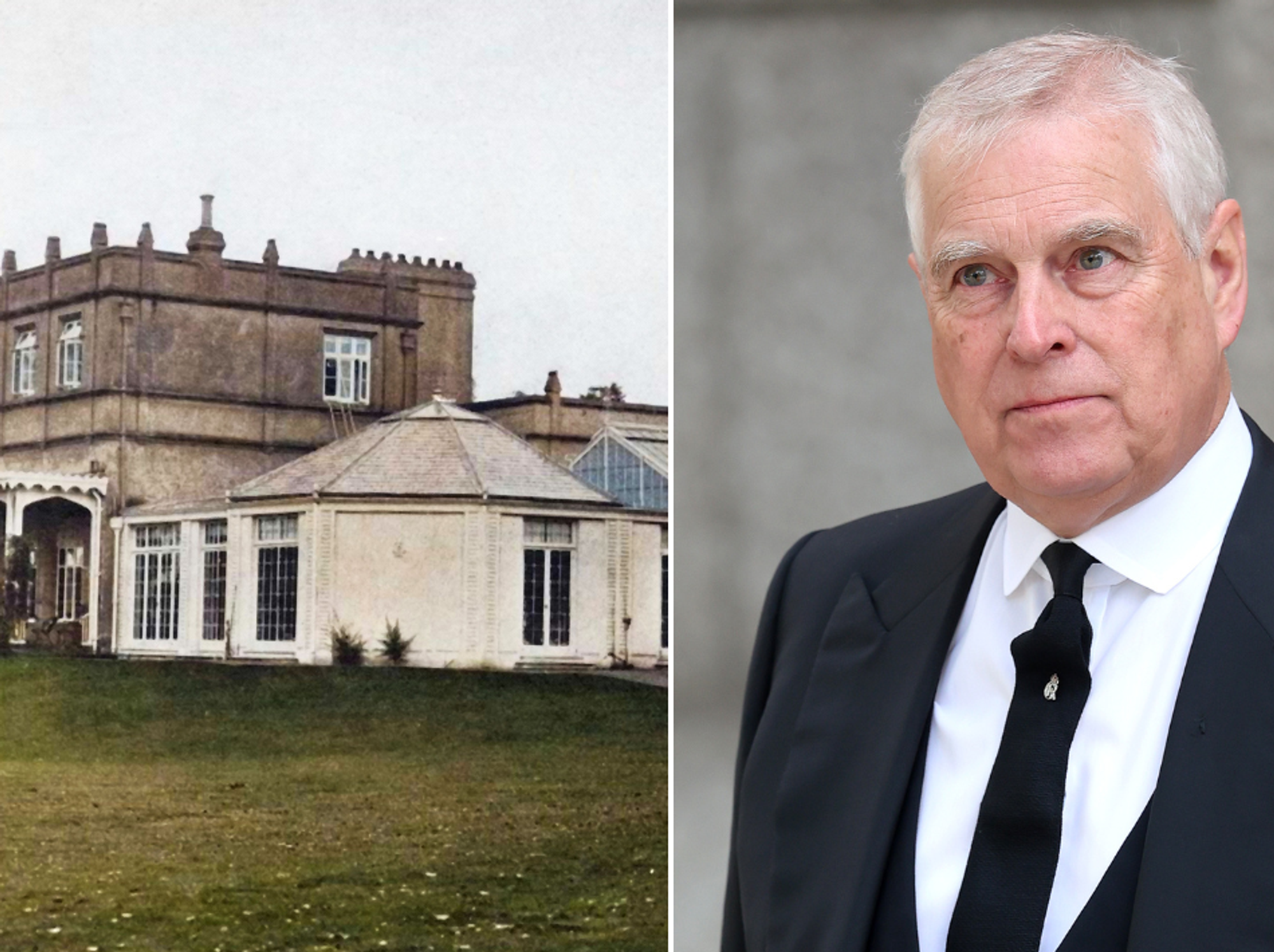 Prince Andrew