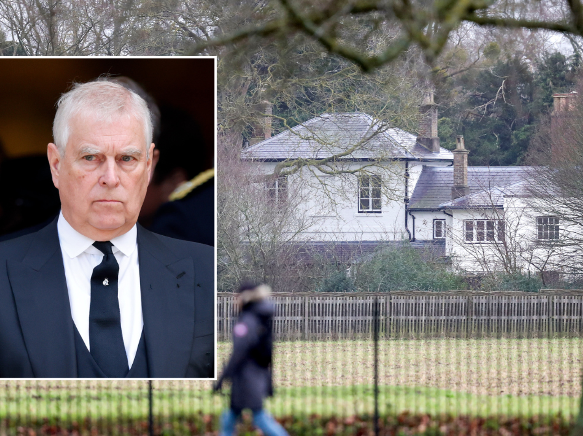 Prince Andrew