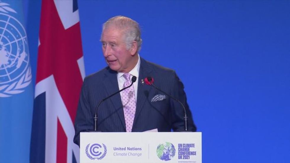 Prince Charles calls on businesses to use their trillions to make economies sustainable