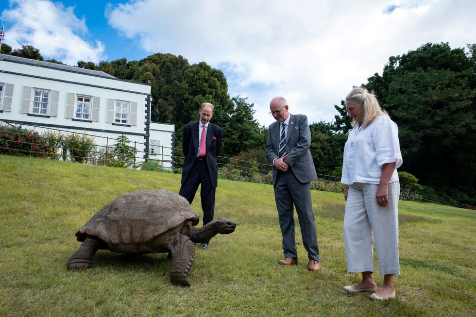 Prince Edward and Jonathon the tortoise