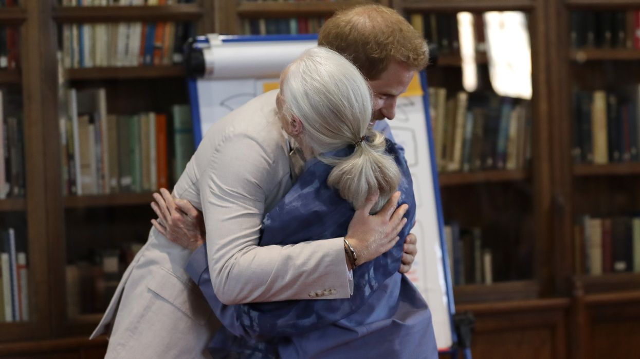 Prince Harry and Jane Goodall