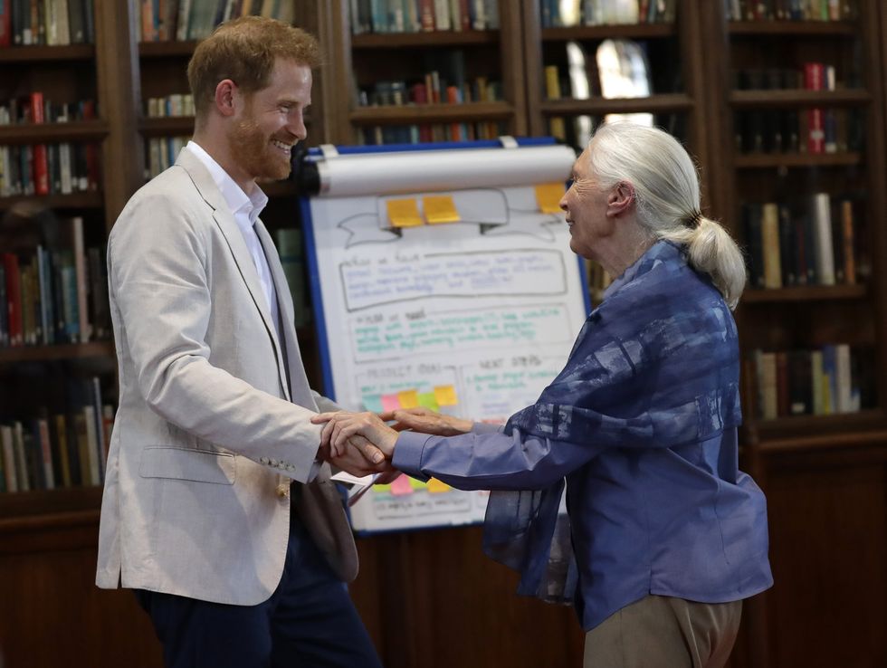 Prince Harry and Jane Goodall