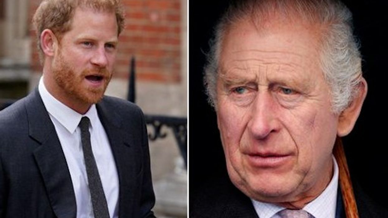 Prince Harry and King Charles