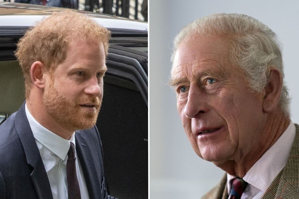 Prince Harry and King Charles