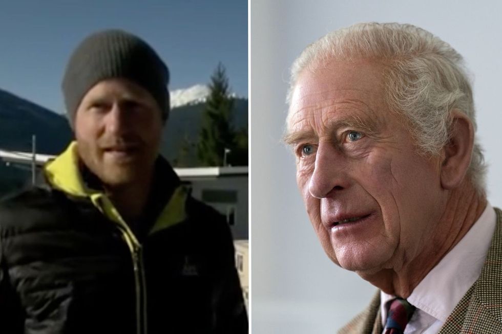 Prince Harry and King Charles