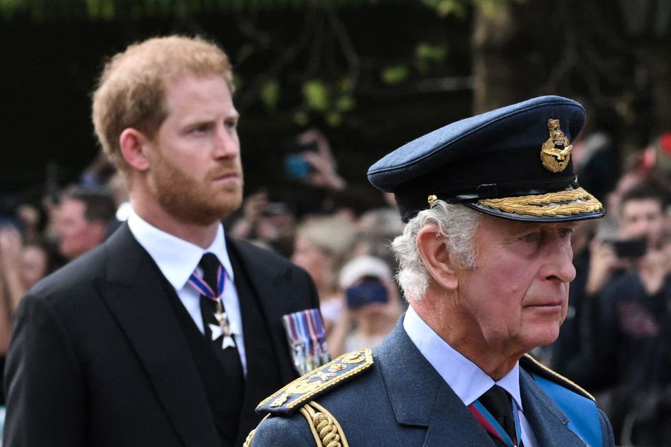 Prince Harry appears to snub King Charles during new video appearance