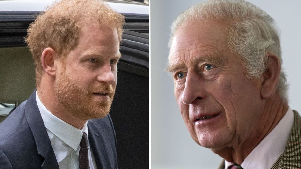 Prince Harry and King Charles