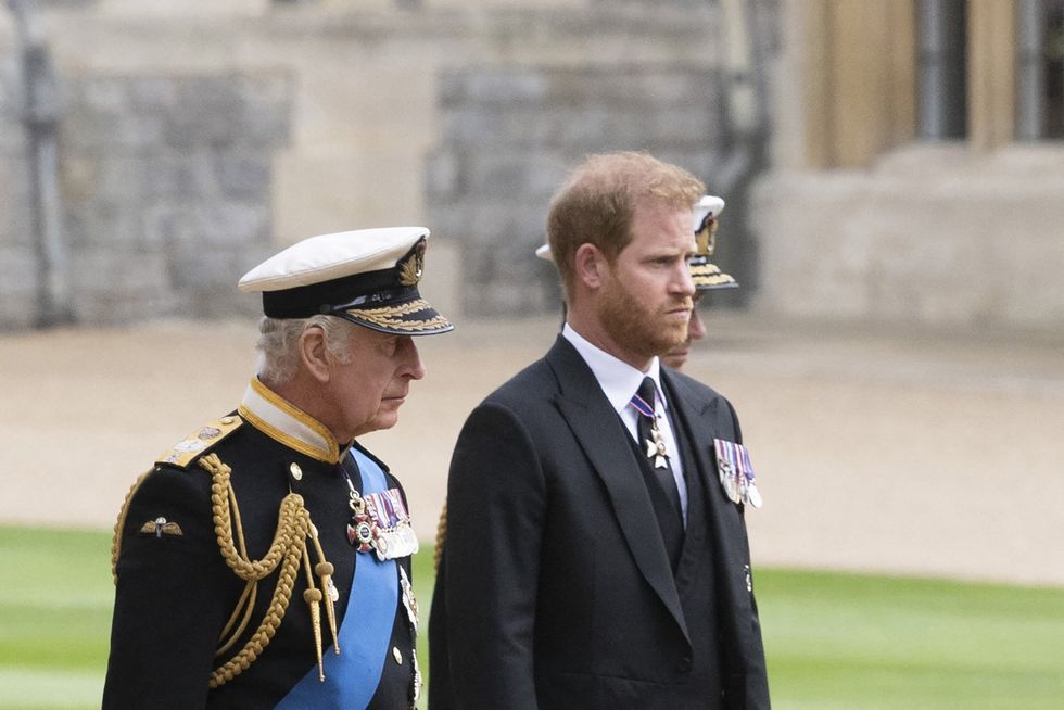 Prince Harry and King Charles