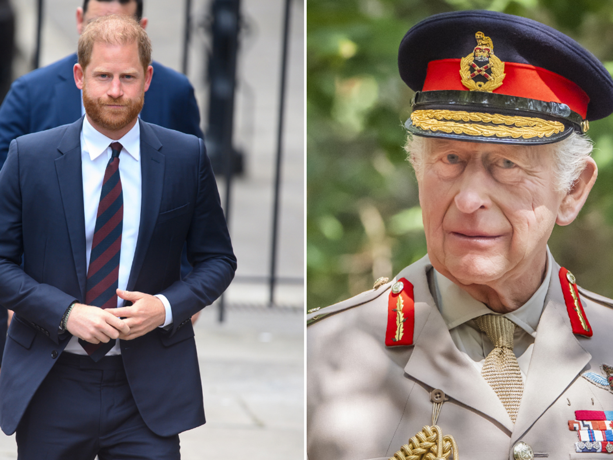 Prince Harry and King Charles
