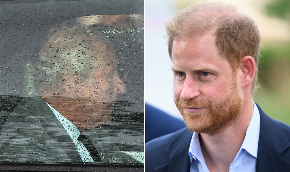 Prince Harry and King Charles