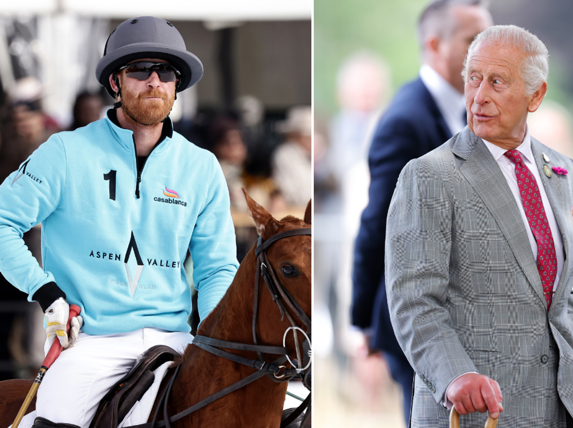Prince Harry and King Charles