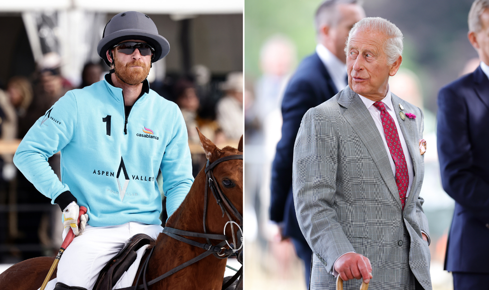 Prince Harry and King Charles