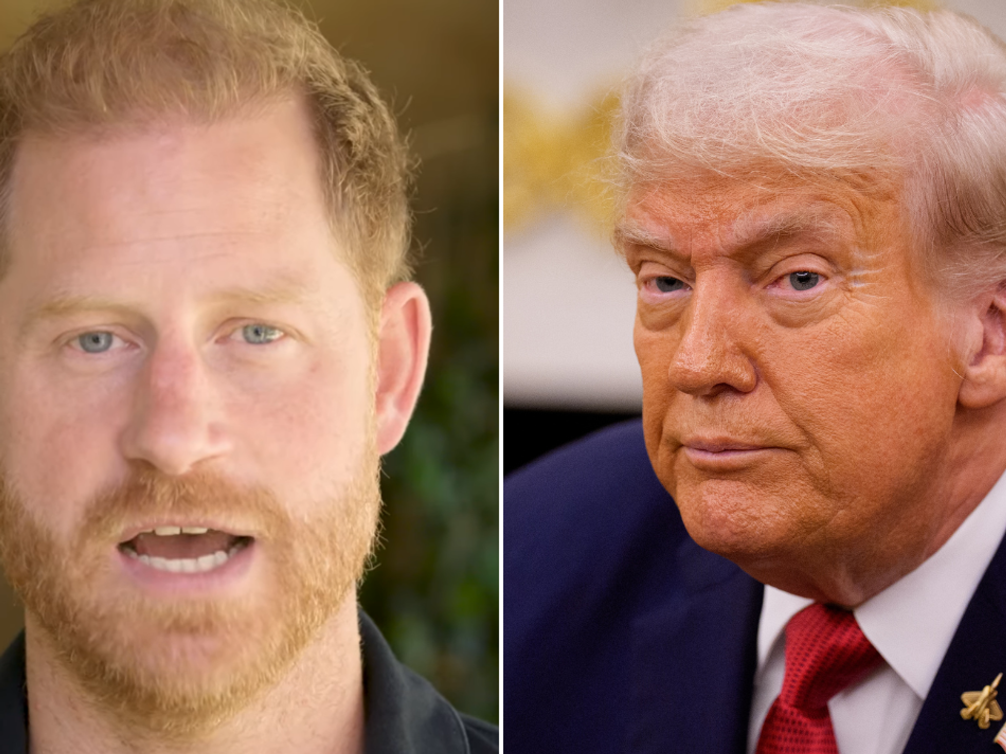 Prince Harry and President Donald Trump