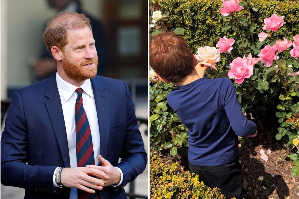 Prince Harry and Prince Archie