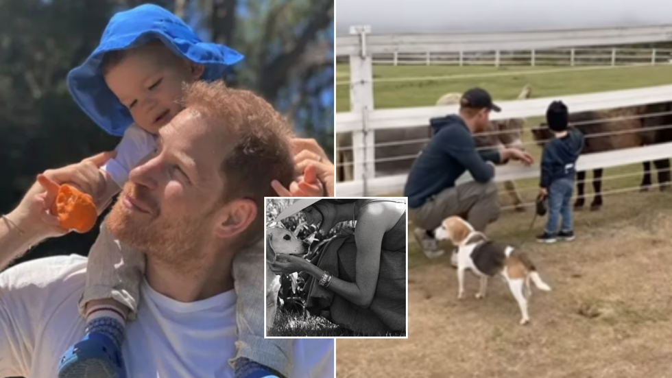 Prince Harry and Prince Archie