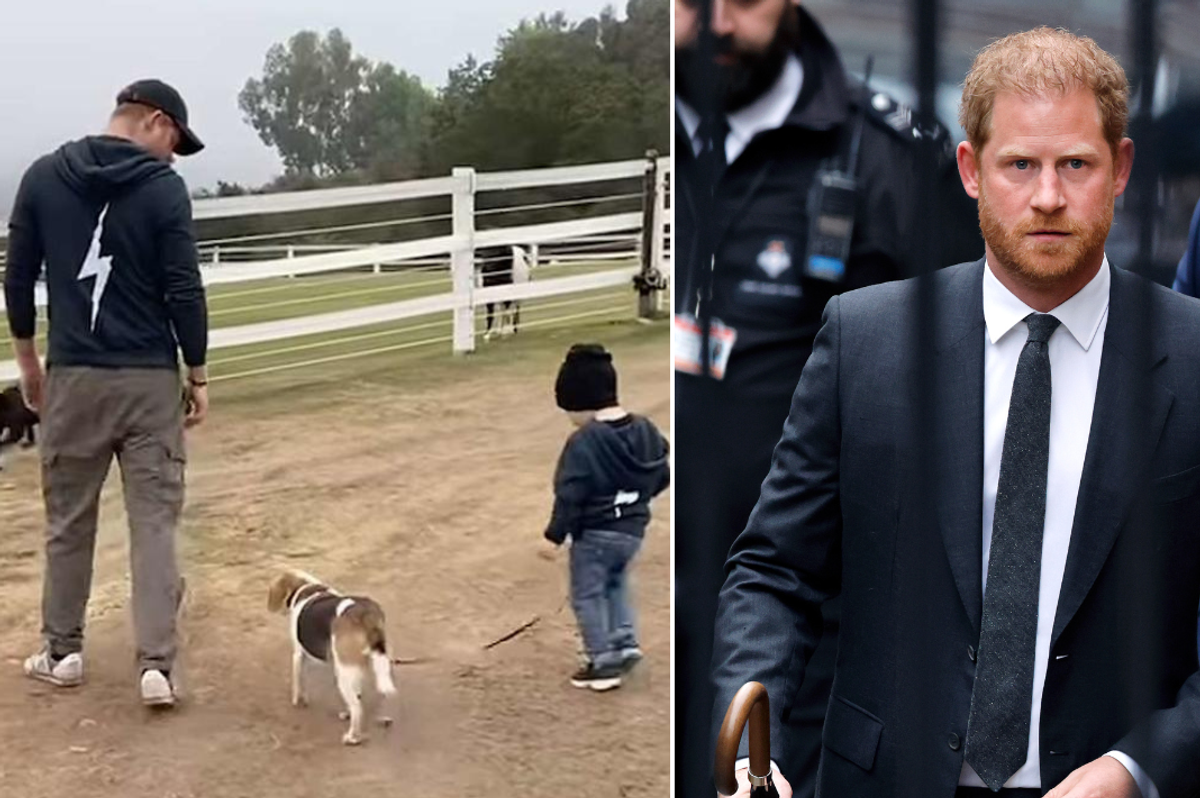 Prince Harry and Prince Archie