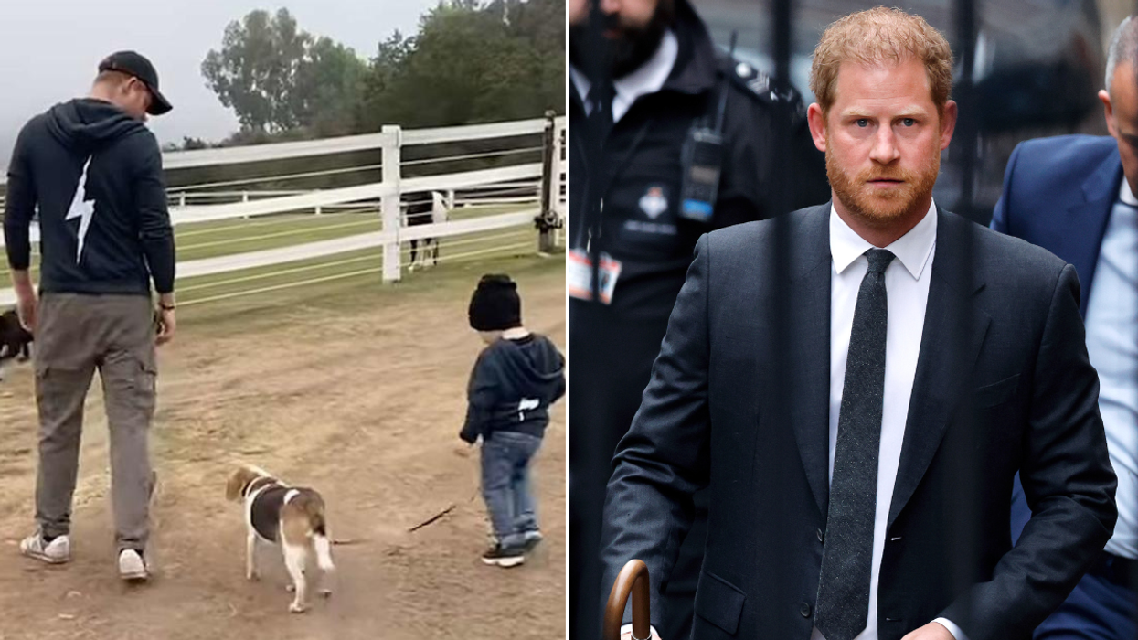 Prince Harry and Prince Archie