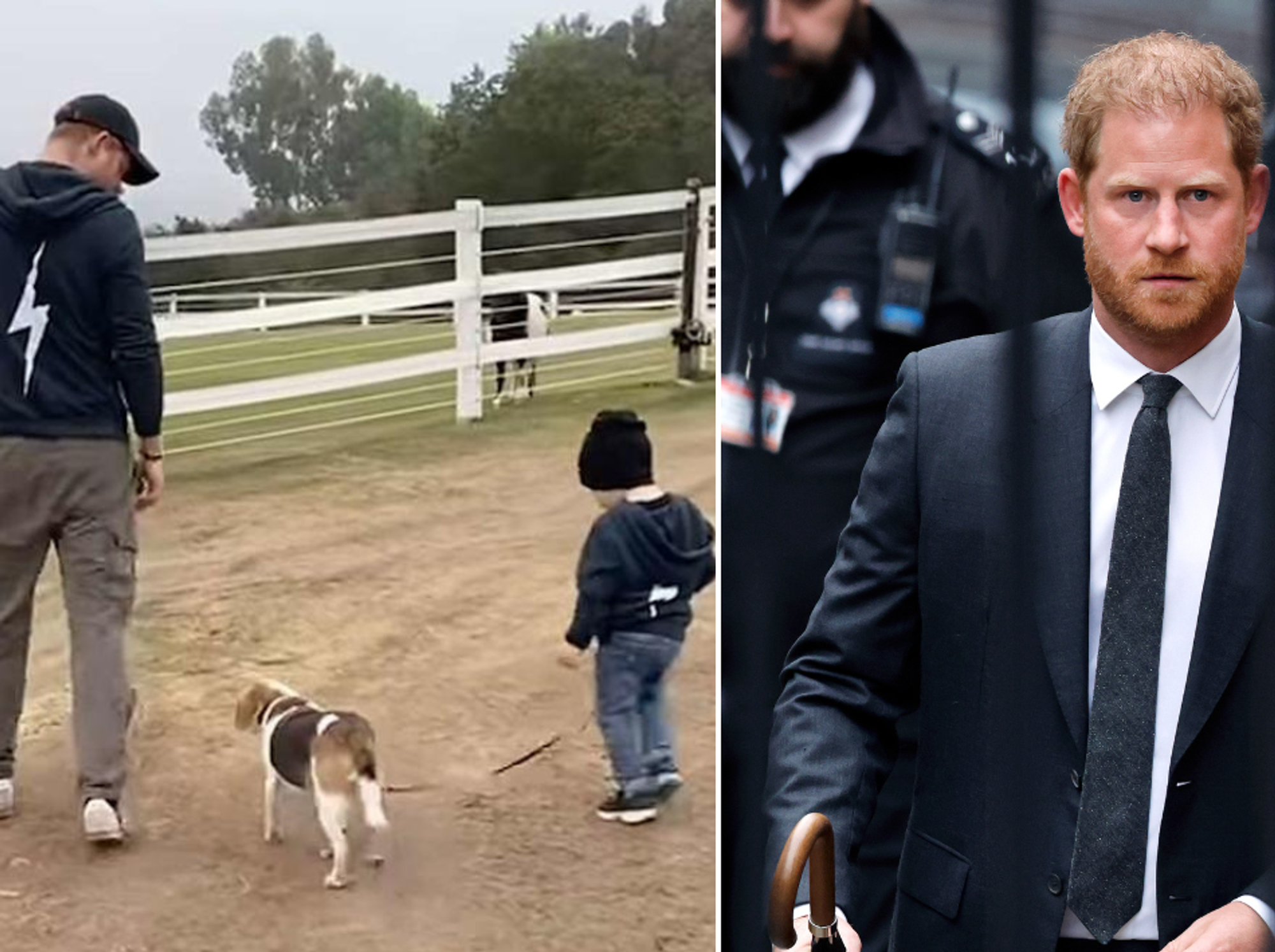 Prince Harry and Prince Archie