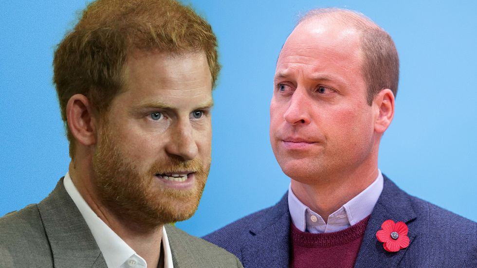 Prince Harry and Prince William are Princess Diana's only children