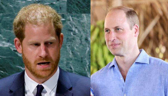 Prince Harry and Prince William