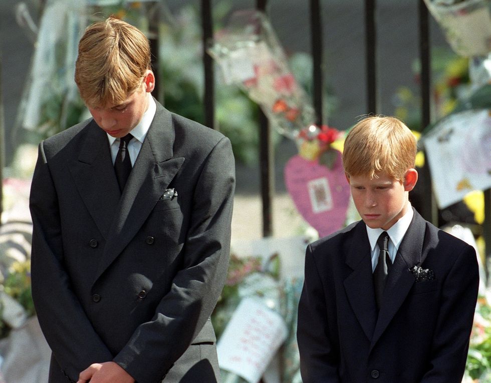 Prince Harry and Prince William