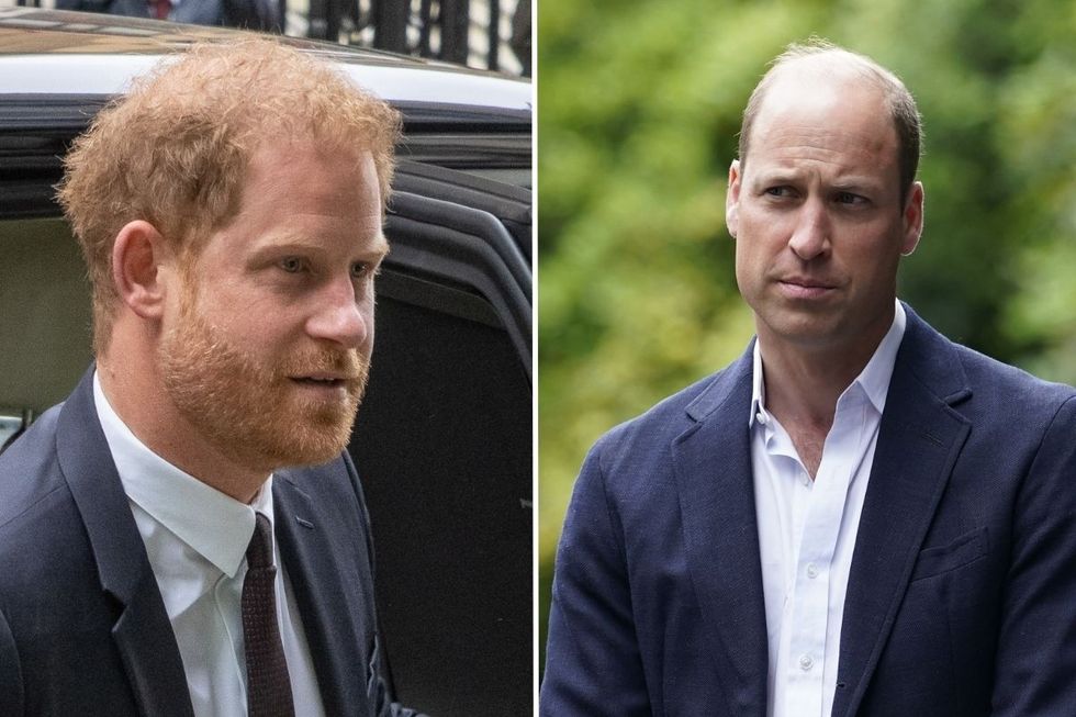 Prince Harry and Prince William