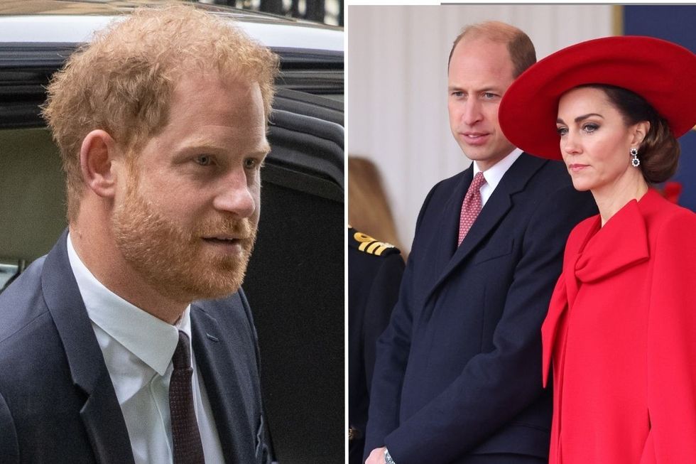 Prince Harry and Prince William