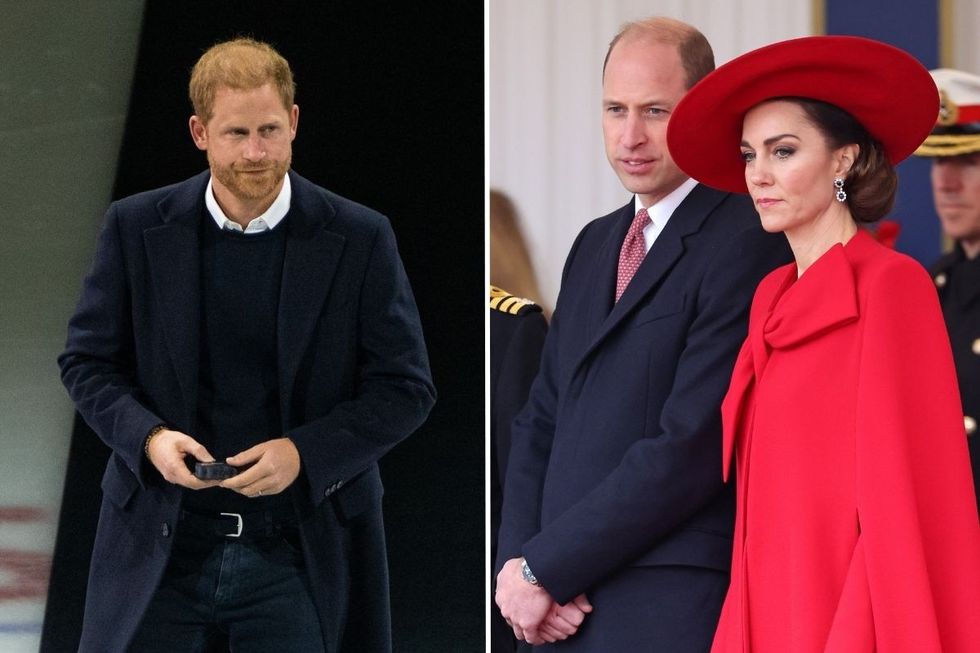 Prince Harry and Prince William
