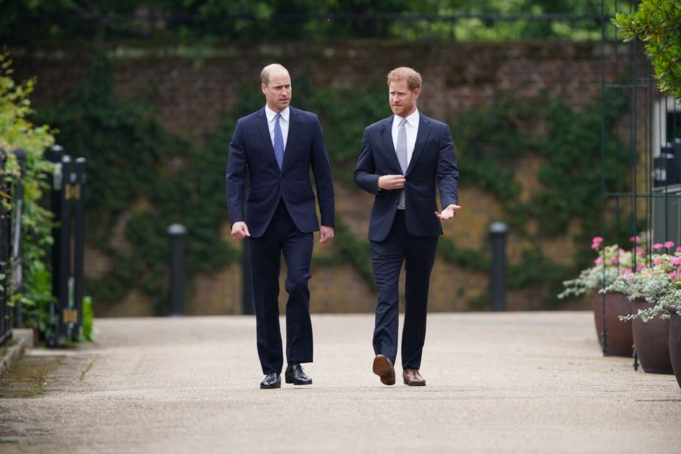 Prince Harry and Prince William