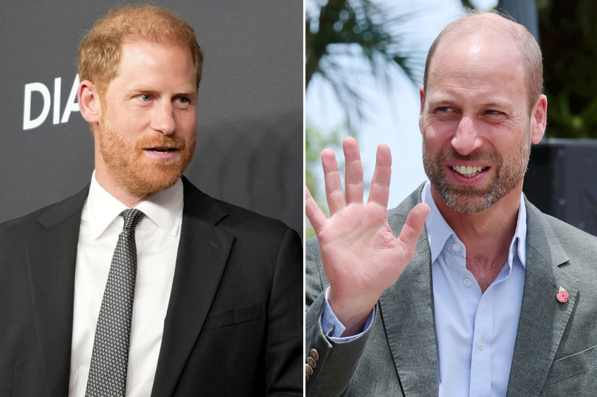 Prince Harry and Prince William