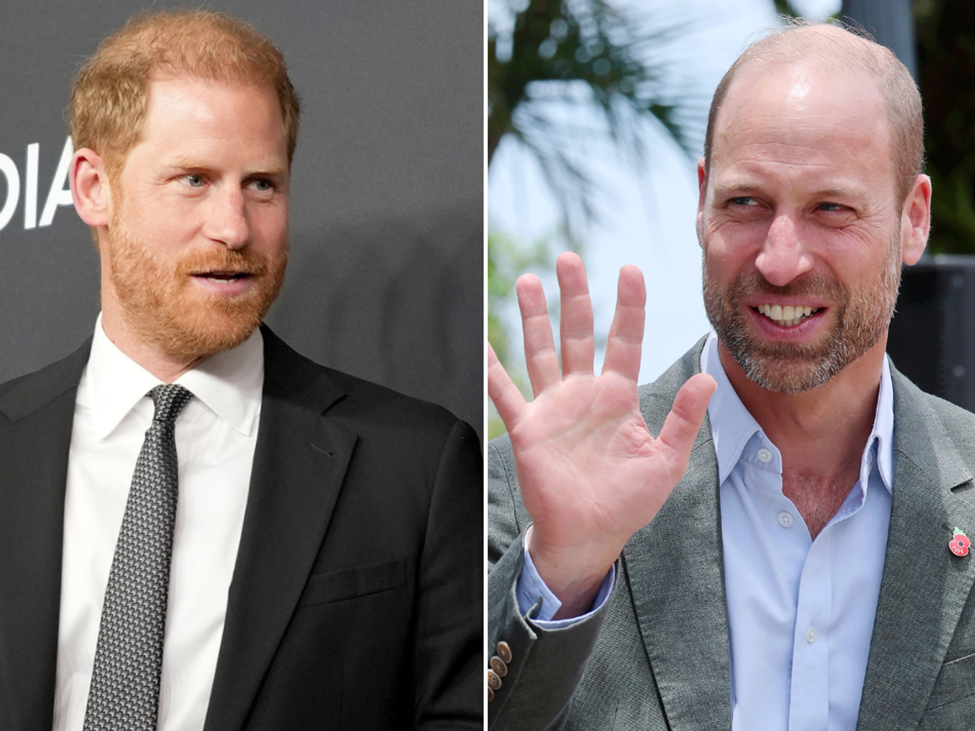 Prince Harry and Prince William