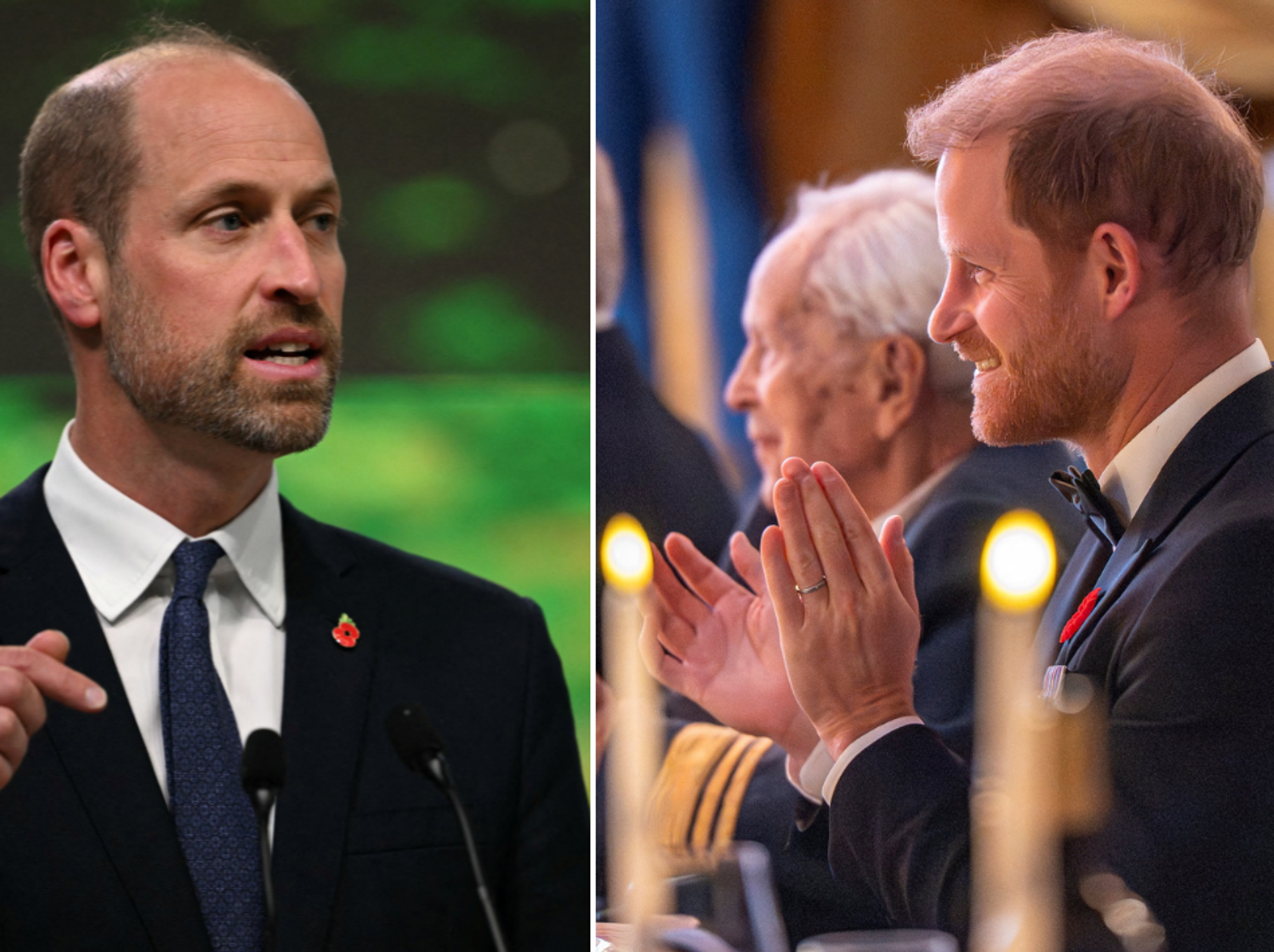 Prince Harry and Prince William