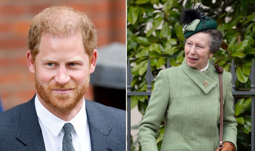 Prince Harry and Princess Anne