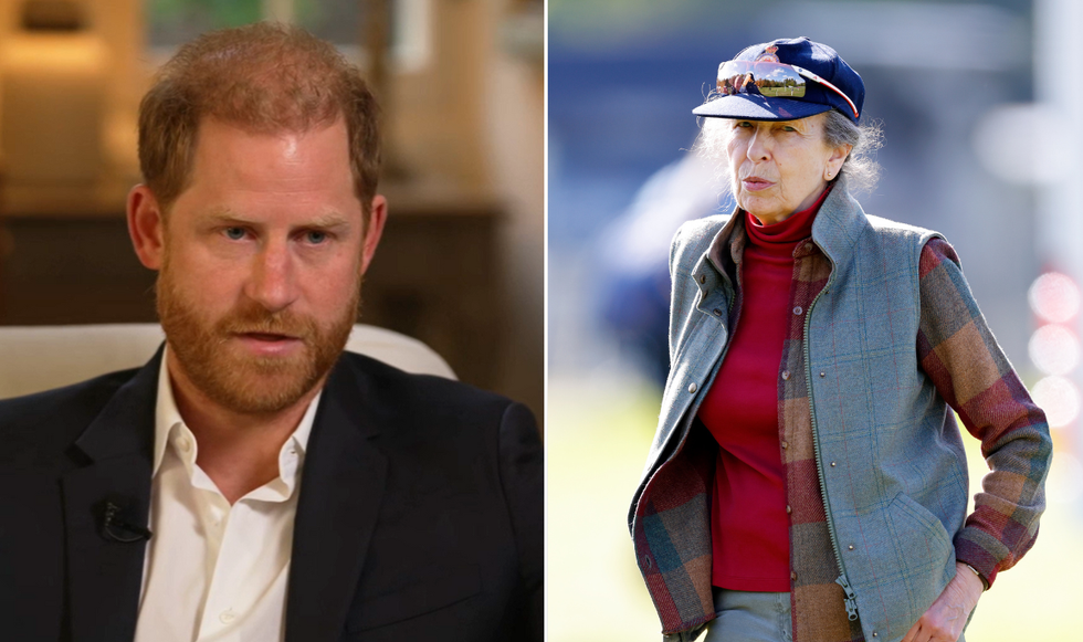 Prince Harry and Princess Anne