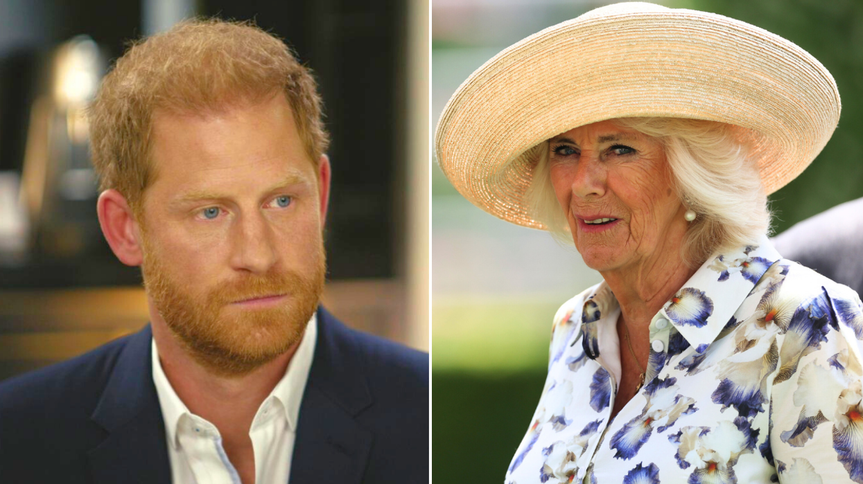 Prince Harry and Queen Camilla