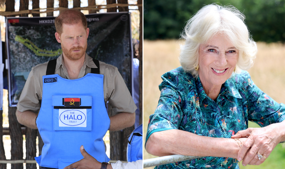 Prince Harry and Queen Camilla