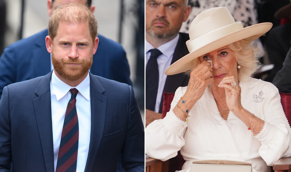 Prince Harry and Queen Camilla