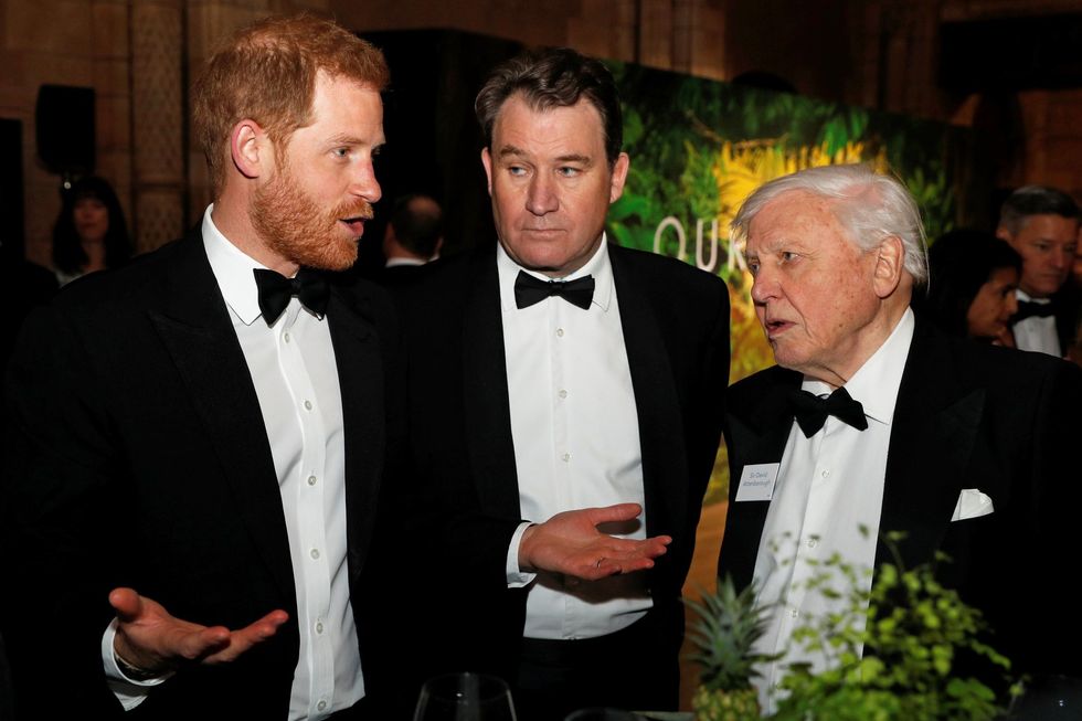 Prince Harry and Sir David Attenborough