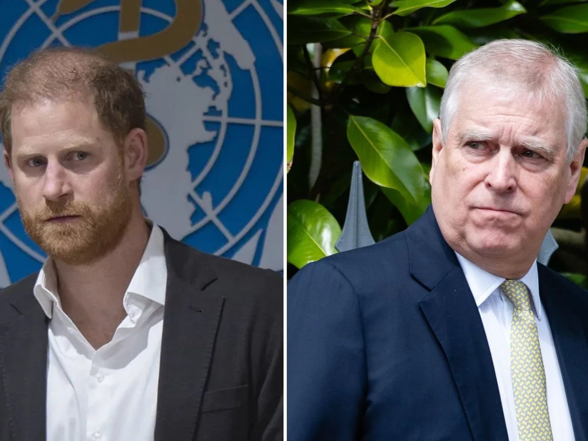 Prince Harry, Andrew Mountbatten-Windsor