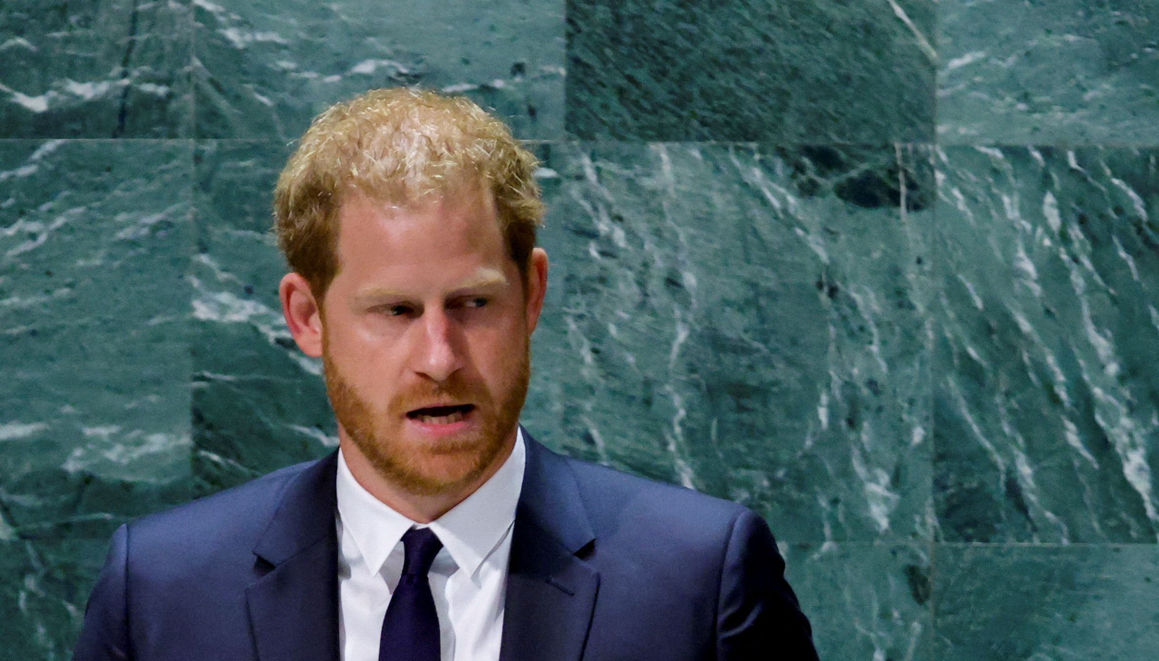 Prince Harry issued a stark warning about climate change in the speech