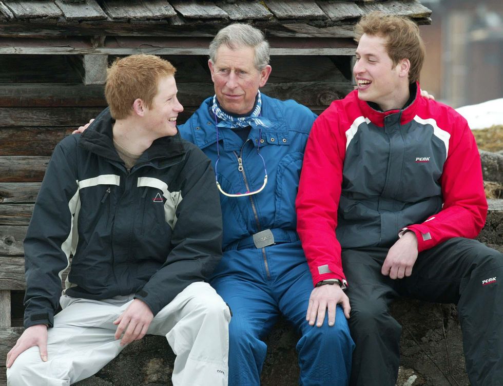Prince Harry, King Charles, Prince William