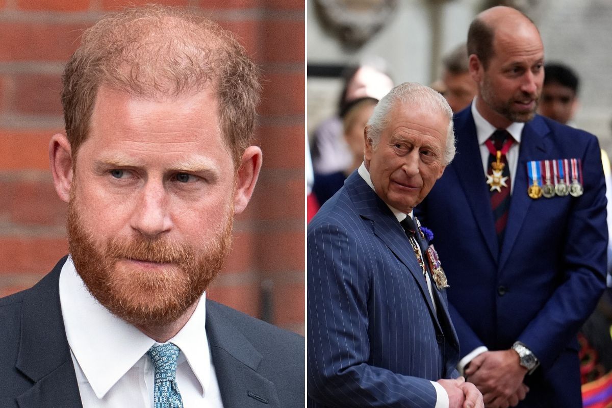 Prince Harry, King Charles, Prince William