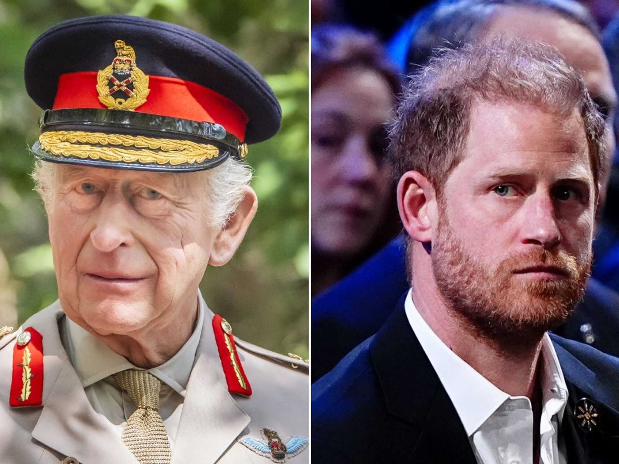 Prince Harry, King Charles