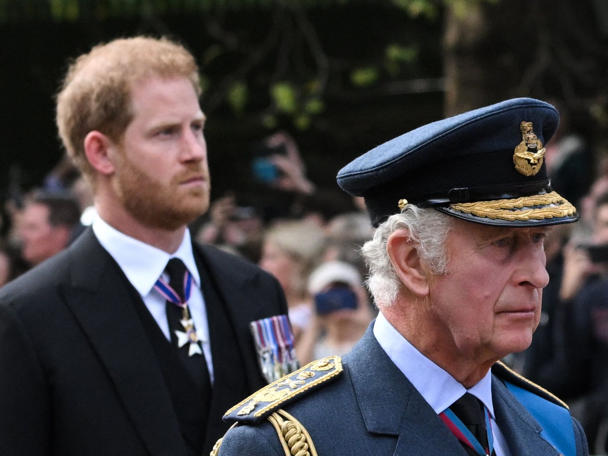 Prince Harry, King Charles