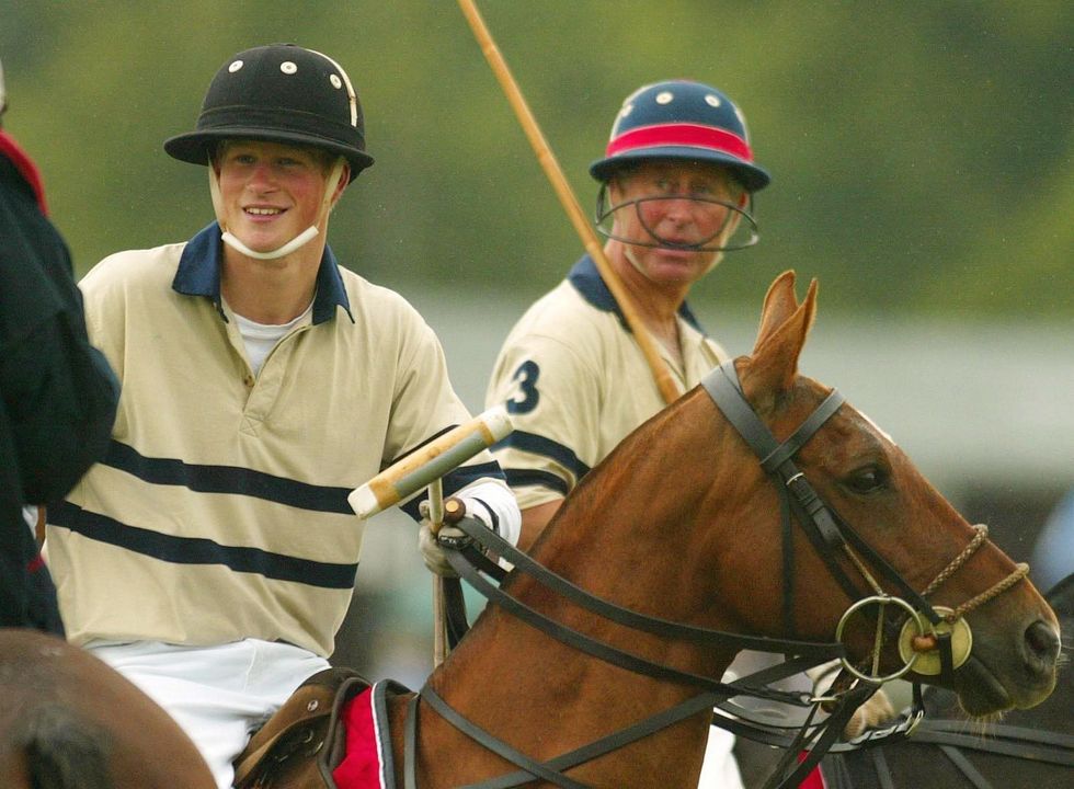 Prince Harry, King Charles